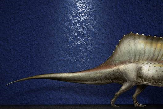 spinosaurus_2