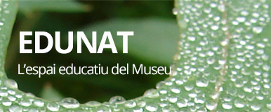 Anar a Edunat