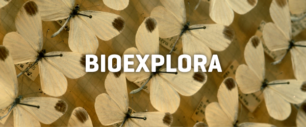 Anar a Bioexplora