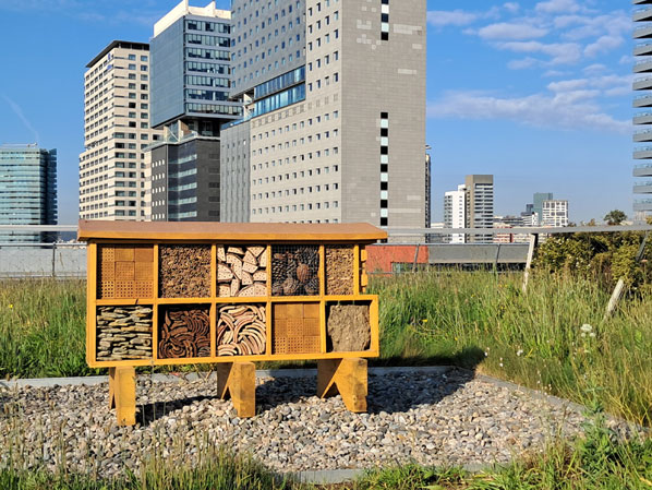 Imatges de Cristina Serradell.