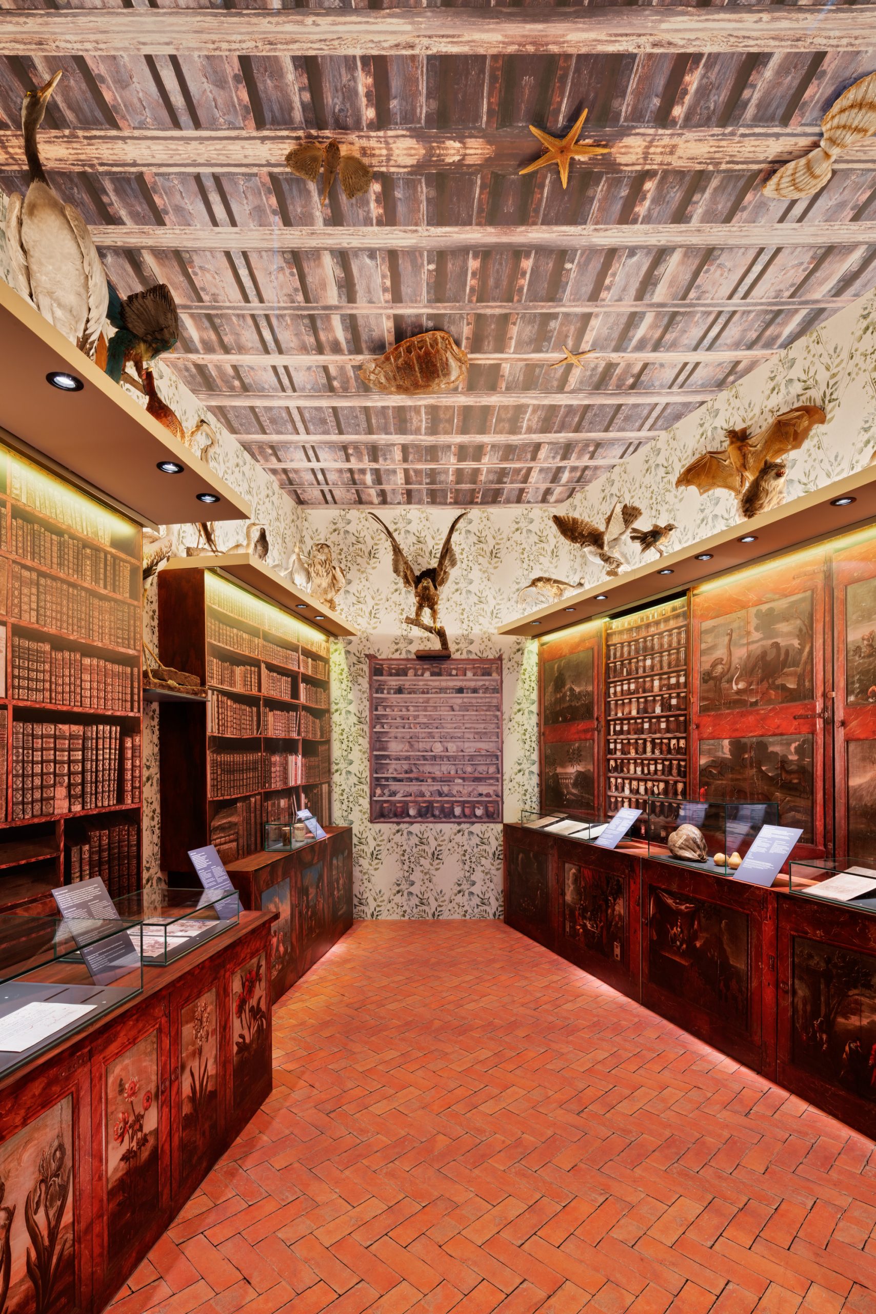 Museu de Ciències Naturals de Barcelona: Les publicacions científiques