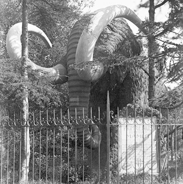 Imatges de l'Arxiu Fotogràfic del Centre Excursionista de Catalunya (el mamut del parc de la Ciutadella)