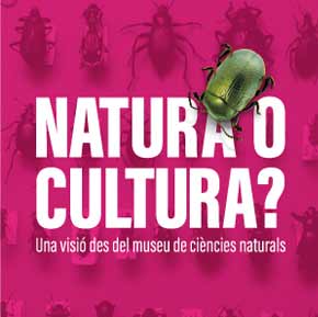 nature or culture