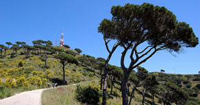 Geologia de Collserola