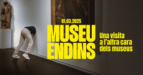 Museu Endins