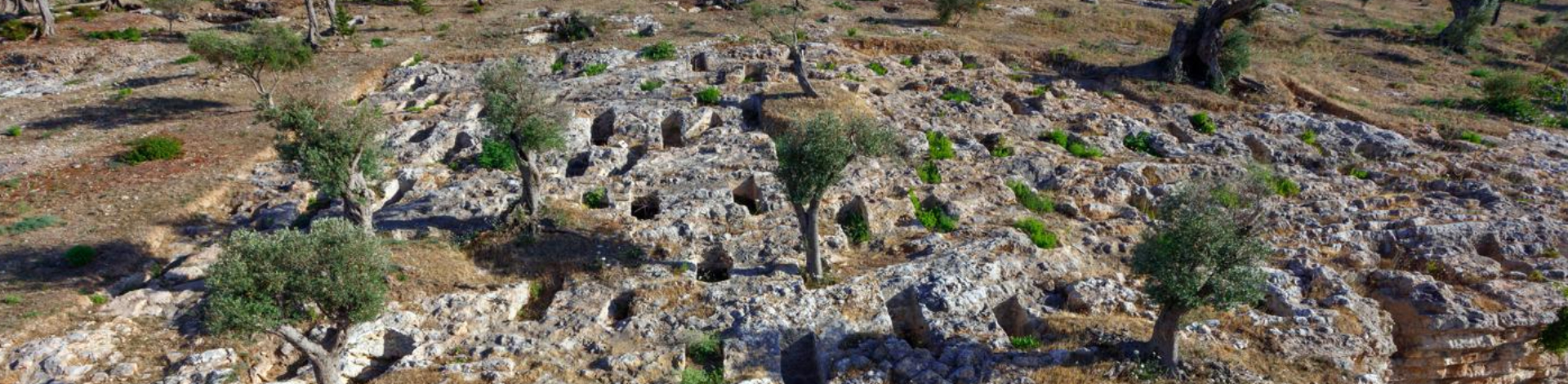 Necròpolis púnica del Puig des Molins a l'illa d'Eivissa. Crèdits: Raymar. Museu Arqueològic d'Eivissa i Formentera