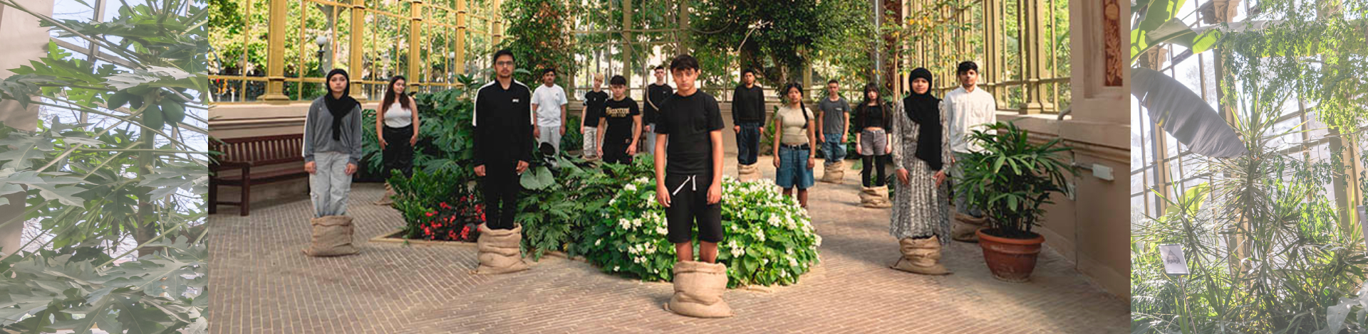 imatge dels alumnes representant essers vegetals a l'Hivernacle de la Ciutadella"