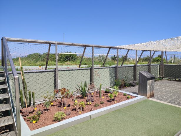 Detall de la franja o zona del jardíneres amb la vegetació representativa de les mediterrànies del món, com al Jardí Botànic de Barcelona