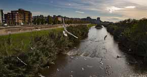 Parc Fluvial del Besòs