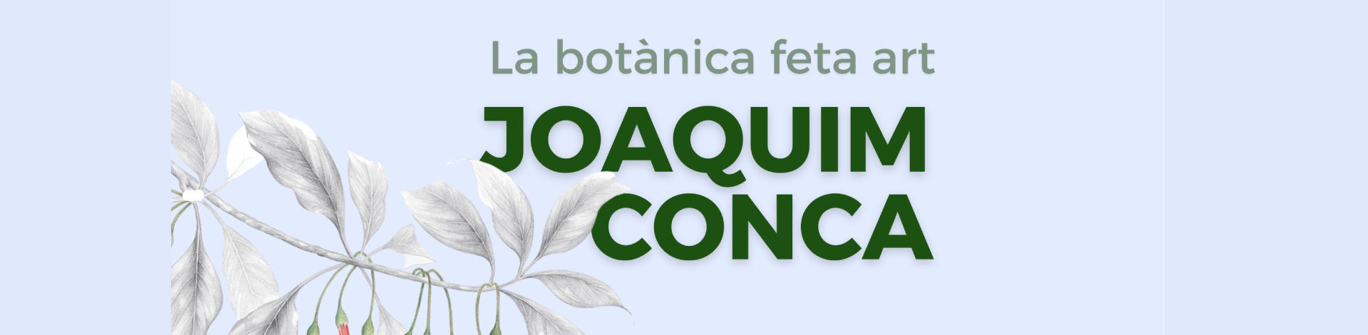 imatge títol exposició Joaquim conca. La botànica feta art i il·lstració narcís de Conca