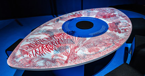 Vist i no vist: a la recerca de l’animal invisible