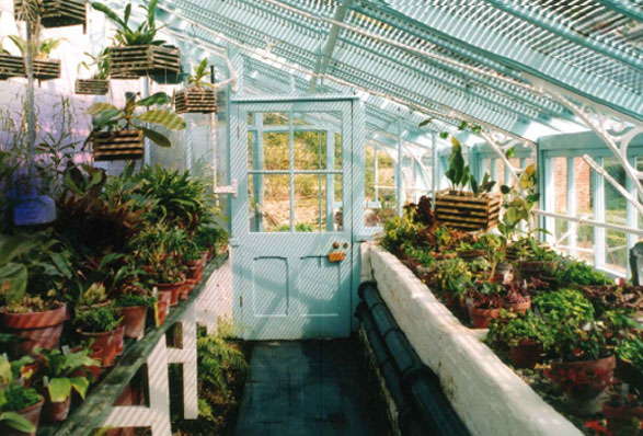 L'Hivernacle de Down House on juntament amb l'hort, era on Darwin feia els seus experiments amb orquídies, enfiladisses i carnívores, principalment.
