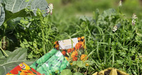 Omplim els balcons de vida