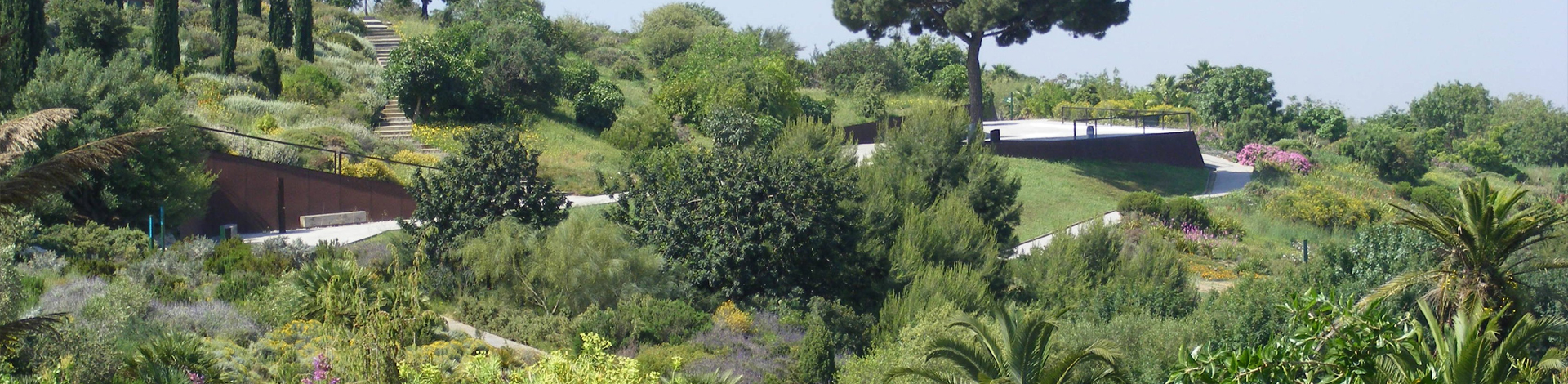 Plantes característiques de la regió Mediterrània del Jardí Botànic EN